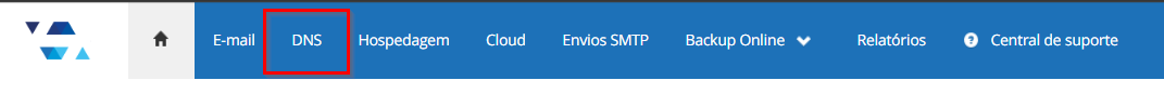 dns1.png